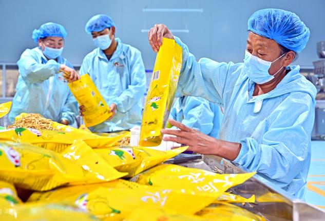 黄胶黄瓜苗黄河鲤鱼礼盒多措并举助推高质量发黄豆去皮机展 山黄